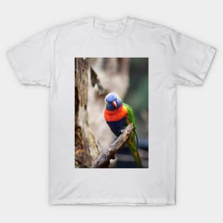 Rainbow Beauty T-Shirt